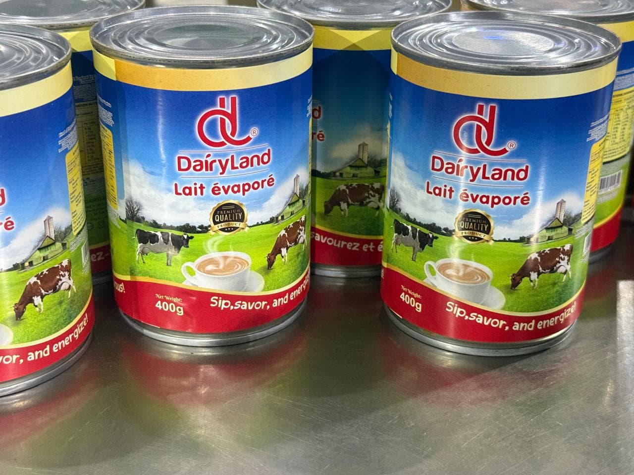 Dairy Land Evaporated Milk